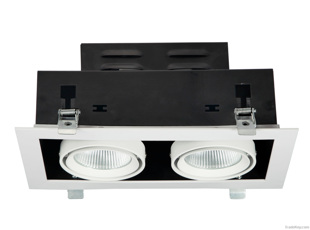 2X10W High Power LED Grid Light