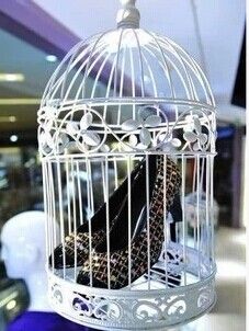 Bird cage