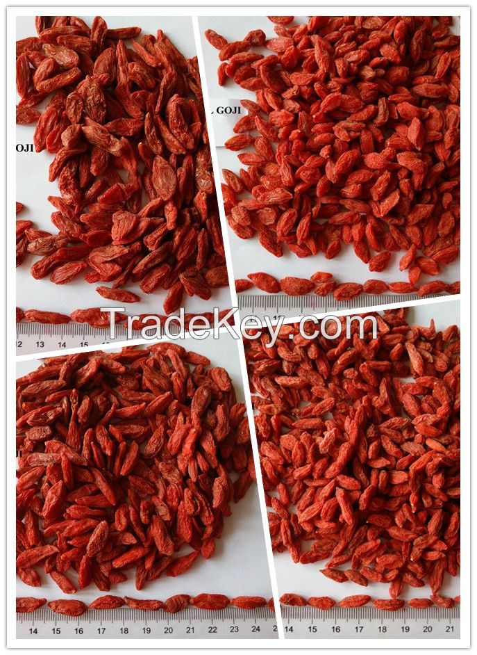 Organic Goji Berries Wolfberry for Sales