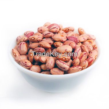 2017New Crop light speckled kidney beans