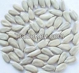 Supply All Kinds of White Sunflowers Seed Kernels No Shell New Crop