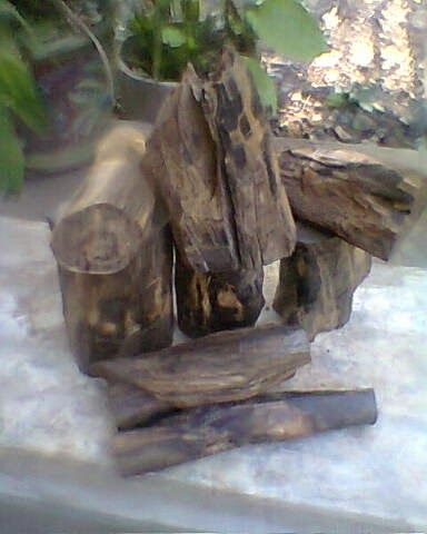 Fossil Agarwood