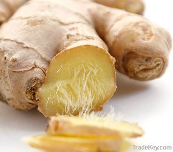 Ginger split