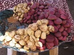 Bitter Kola (Quincy Seed), Kola-nut