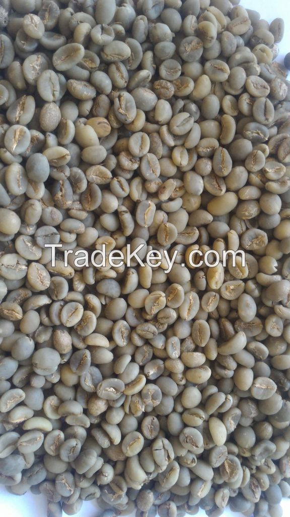 ROBUSTA GREEN BEAN