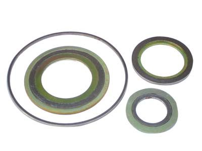 Spiral Wound Gasket