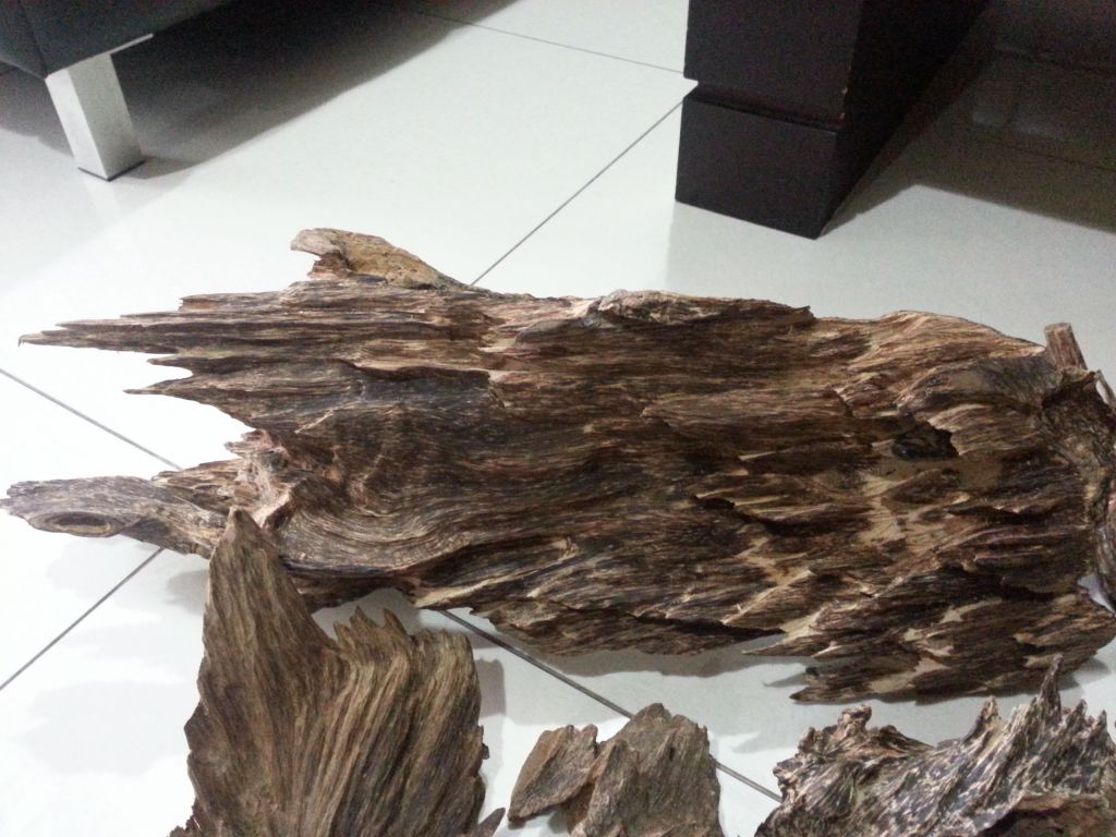 Agarwood Logs 3