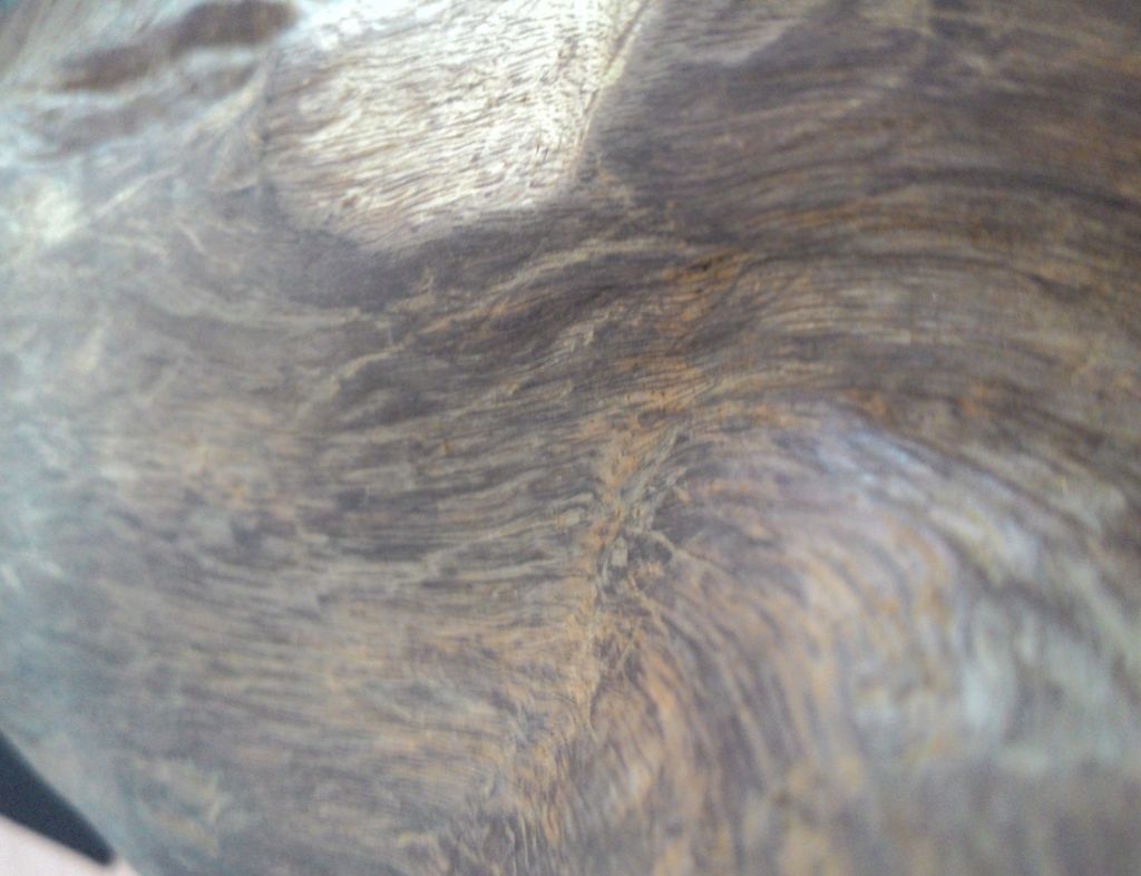 Agarwood Logs 2