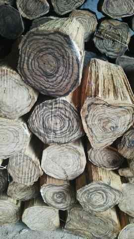 Agarwood Logs 5