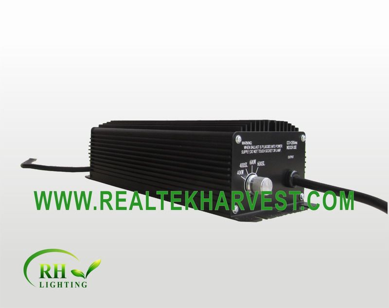 240V600W electronic ballast