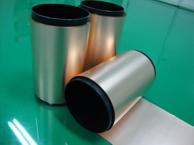 Halogen-free flexible copper clad laminated sheets withour adhesive