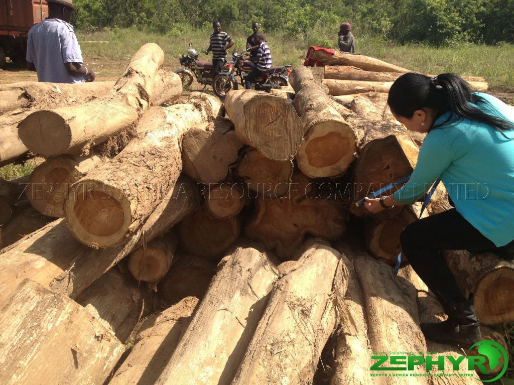 [Zephyr Global] African Wood exporter from Ghana, looking for importers