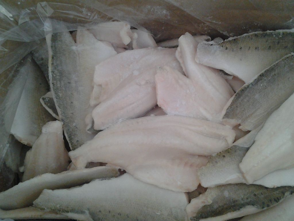 Frozen seabass fillet  (Lateolabrax Japonicus)