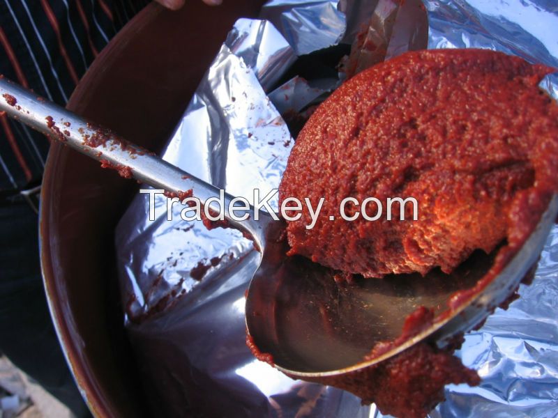 Tomato Paste in drum