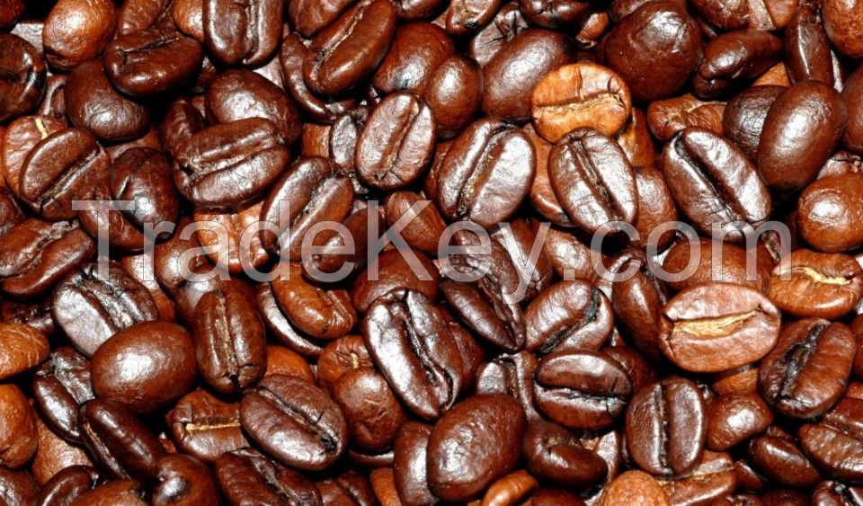 CERTIFICATED ORGANIC COFFEE BEANS FROM MEXICO - HIGH QUALITY