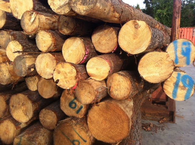 SOUTHERN YELLOW PINE LOGS - SYP LOGS