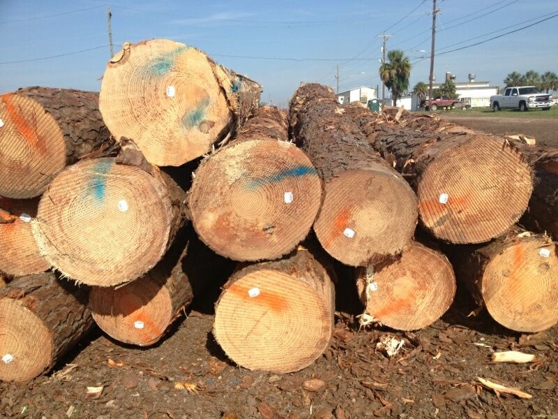 SOUTHERN YELLOW PINE LOGS - SYP LOGS