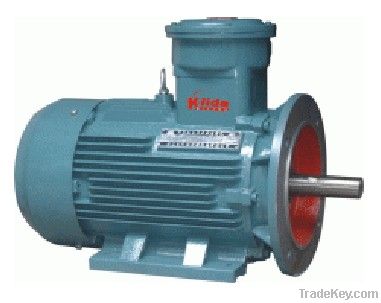 Explosion Proof Electric MotorS