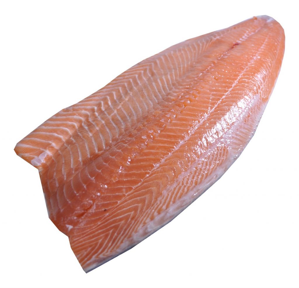 Fresh/Frozen Atlantic Salmon Fillet