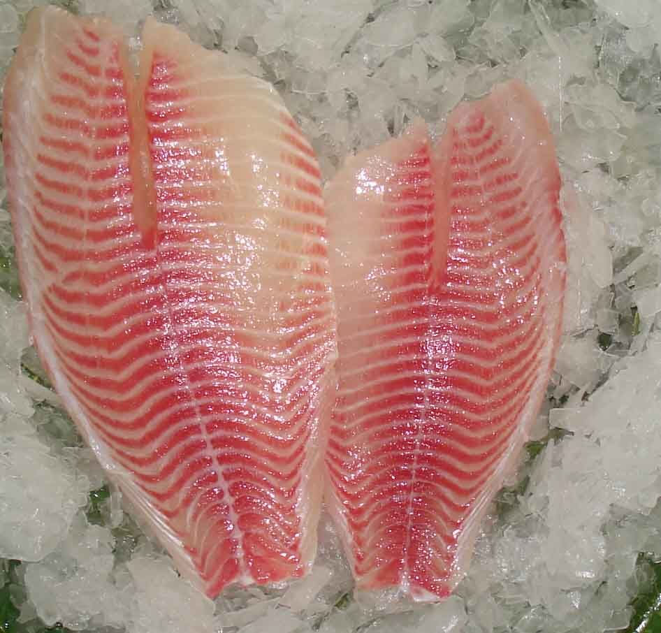 Frozen Red Tilapia Fish Fillet