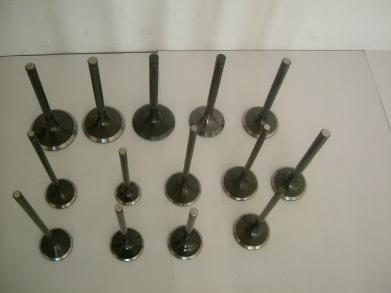 Engine Valves