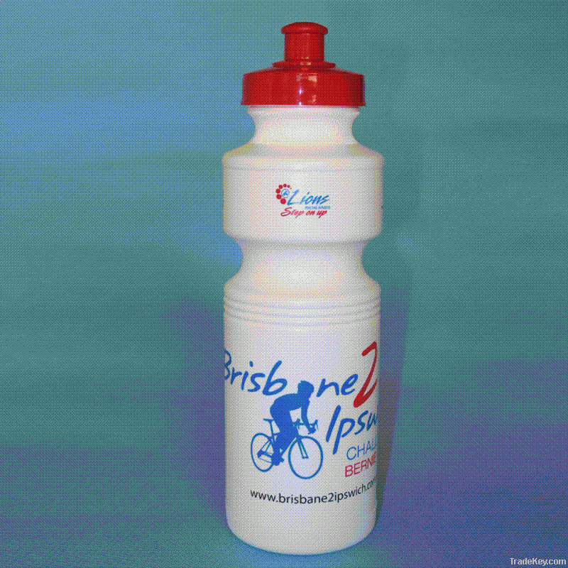 Water Bottle