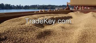 Wood Pellets