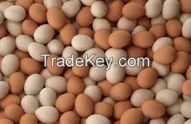 High Fresh Table Eggs Brown And White