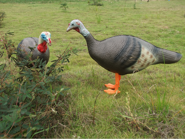 Farway turkey archery target for shooting