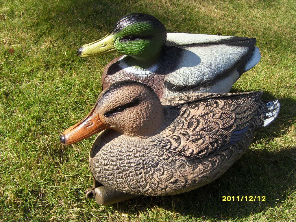 Farway duck decoy for hunting,made of XPE 