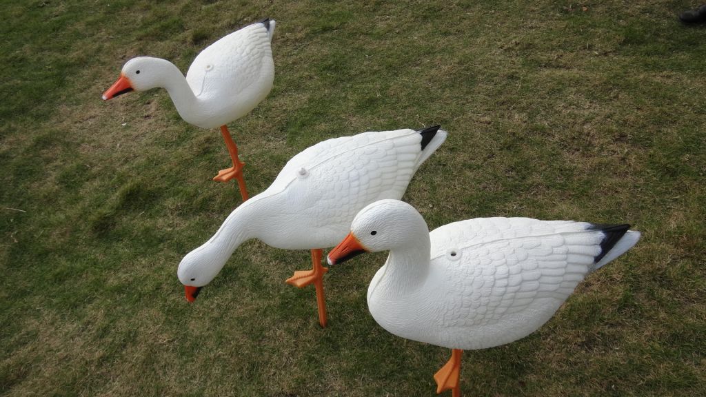 Farway  XPE foam hunting decoy of goose