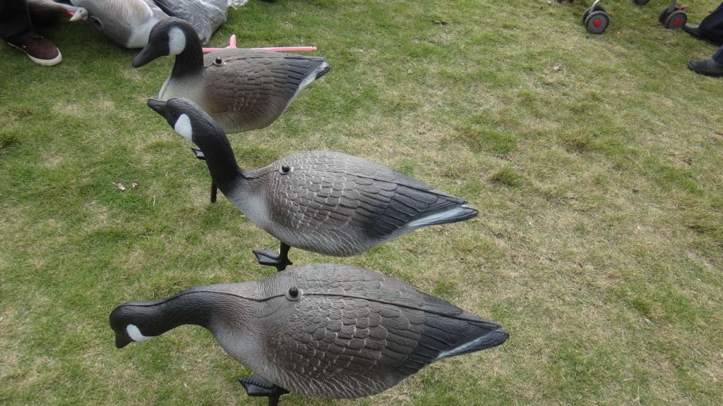 Farway  XPE foam hunting decoy of goose