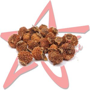 Rosa roxburghii extract / Cili Extract