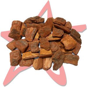 Pine Bark Extract