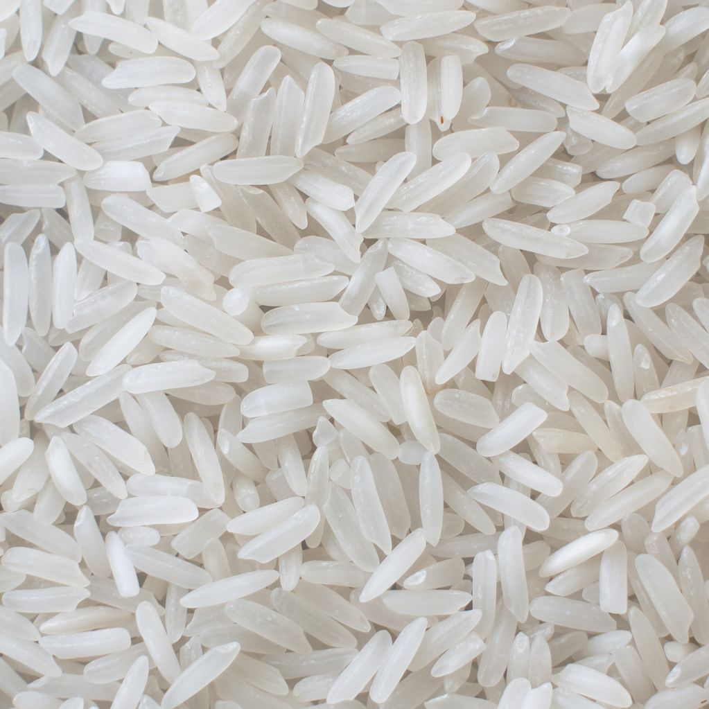 Rice