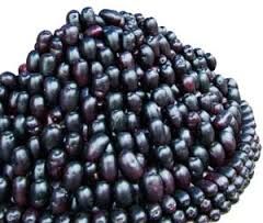 Jamun