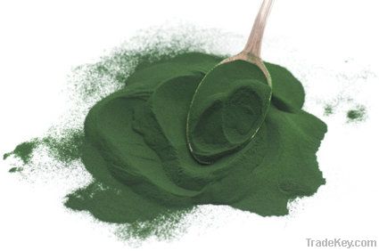 Spirulina Powder