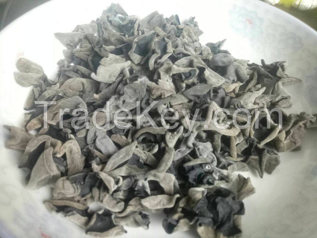 good delicious black fungus