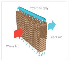 Cooling Pad for Bird House Temperature Control