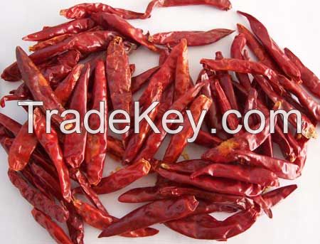 Dried Chilies