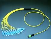 Duplex (SM) Distribution Armored Patch Cord /FC-SC Fiber Optical Patchcord