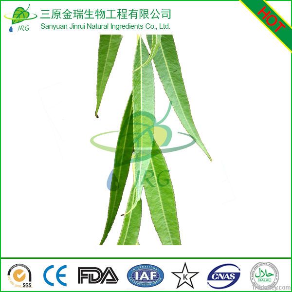 White Willow Bark Extract/Salicin 15%-80%