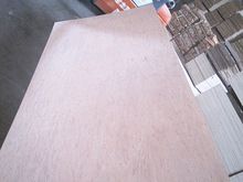 18mm bintangor faced plywood