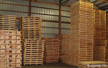 Euro wood pallet