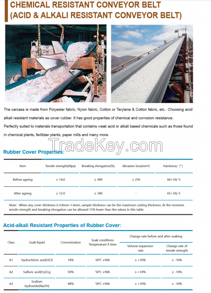 Chemical Resistant Conveyor Belt