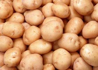 fresh potatoes