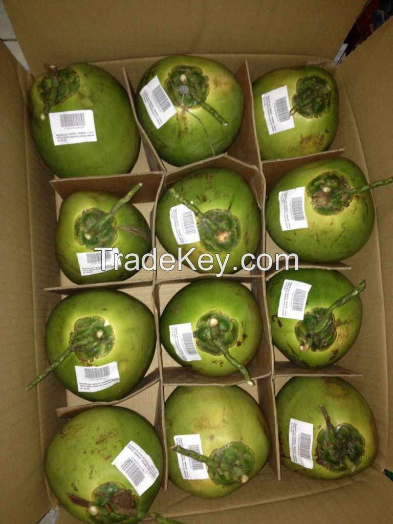 Fresh Young Coconut-ORIGIN SHAPE