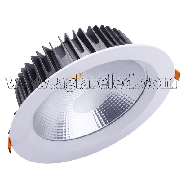 Led Down Light 30W CL534