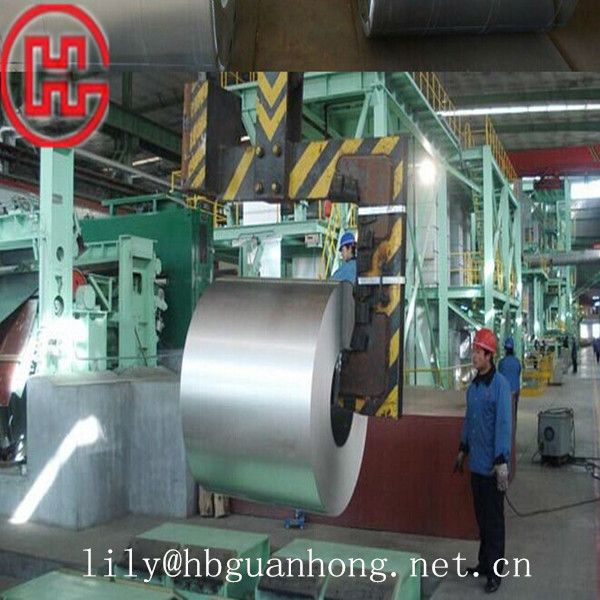 GI/Galvanized Steel Coils 