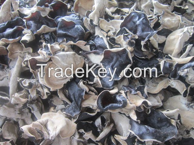 DRIED BLACK FUNGUS- GOOD FOR HEALTH